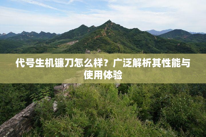 代号生机镰刀怎么样？广泛解析其性能与使用体验