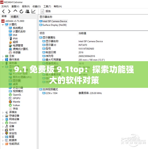 9.1 免费版 9.1top：探索功能强大的软件对策