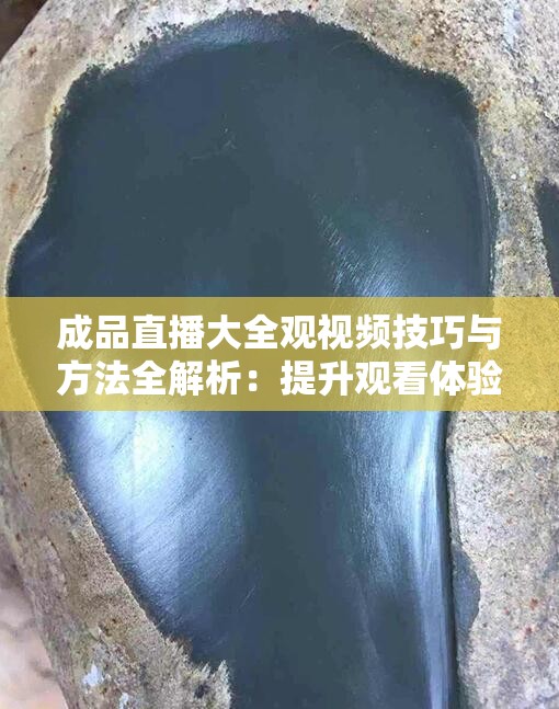 成品直播大全观视频技巧与方法全解析：提升观看体验的终极指南