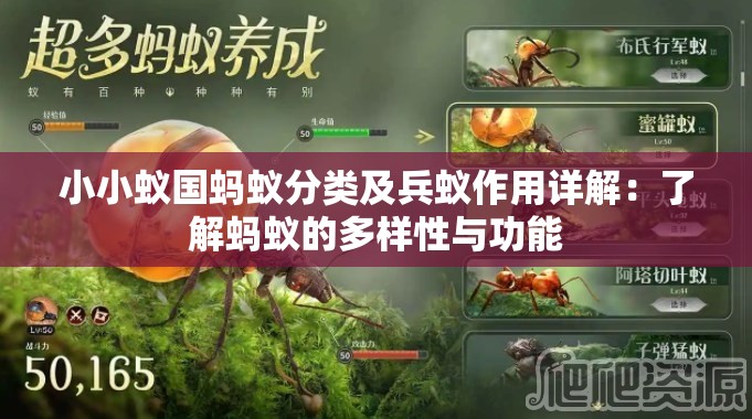 小小蚁国蚂蚁分类及兵蚁作用详解：了解蚂蚁的多样性与功能