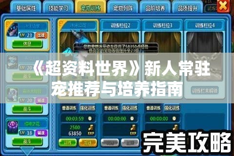 《超资料世界》新人常驻宠推荐与培养指南