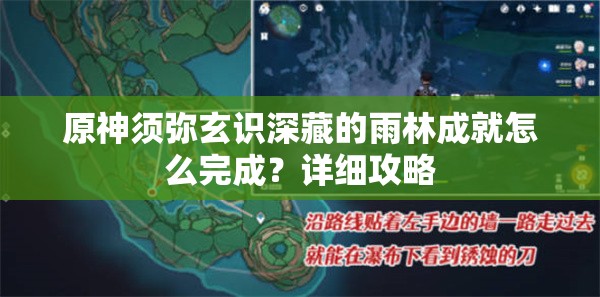 原神须弥玄识深藏的雨林成就怎么完成？详细攻略